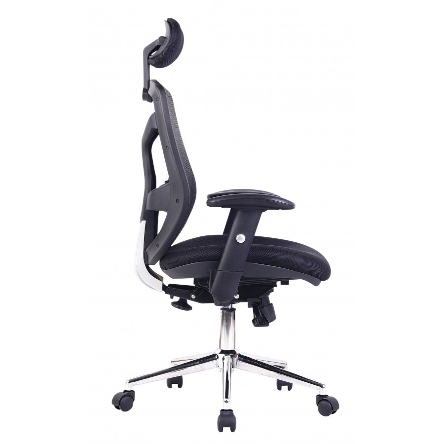 Polaris Mesh Executive Office Chair